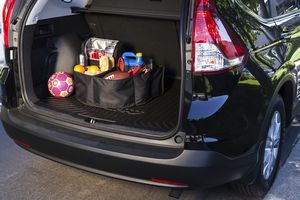 Growler Tote