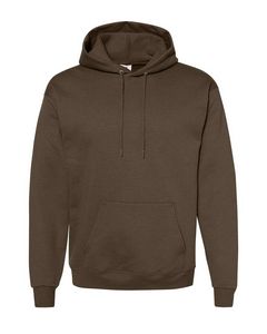 HanesÂ® EcoSmartÂ® Hooded Sweatshirt