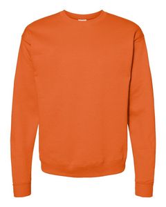 Hanes® Ecosmart® Crewneck Sweatshirt