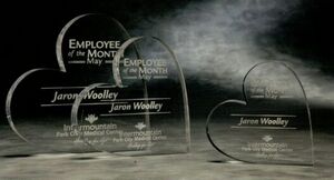 Heart Paperweight (5")