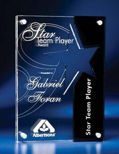 Hermes Award (10")
