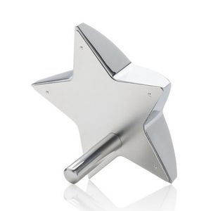 Hollister Standing Star Paperweight