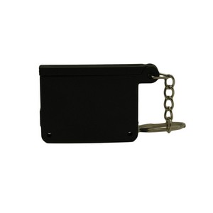 Hollywood Keyring