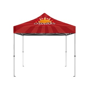 IMPORT 10' x 10' Canopy Package