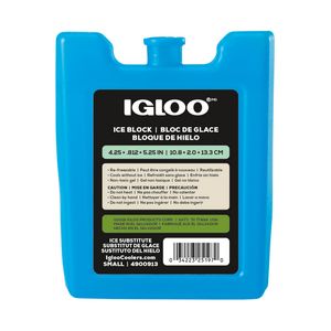 IglooÂ® Ice Block - Small - Turquoise