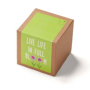 Inspirational Live Life in Full Bloom Planter in Kraft Gift Box