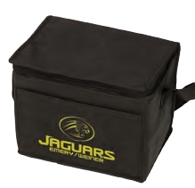 Insulated 6 Pack Cooler Bag