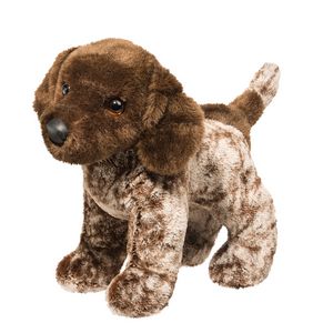 Ivan German Pointer