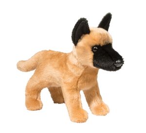 Klaus Belgian Malinois