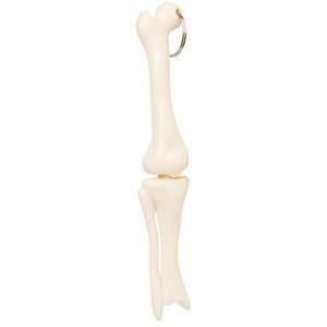 Knee Joint Keyring