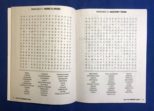 LARGE PRINT Deluxe 3-in-1 Puzzle Book