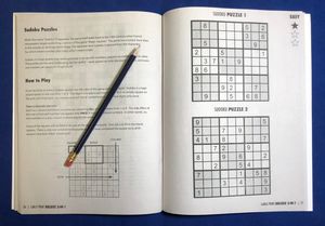 LARGE PRINT Puzzle Book Gift Set - Volume 1