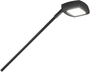LED Flood Display Light
