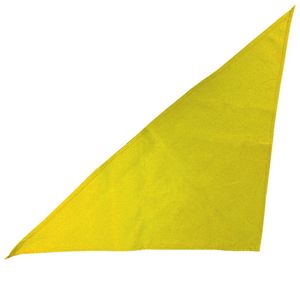 Large Triangle Bandana