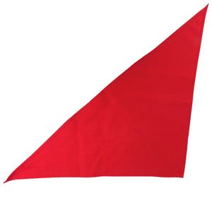 Large Triangle Bandana