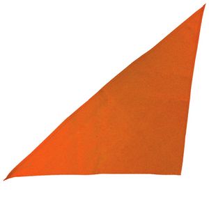Large Triangle Bandana