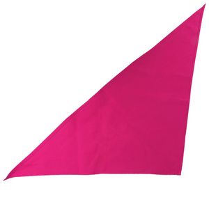 Large Triangle Bandana