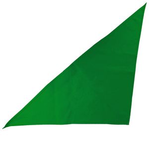 Large Triangle Bandana