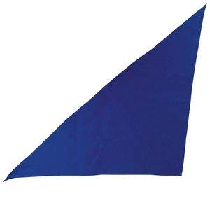 Large Triangle Bandana