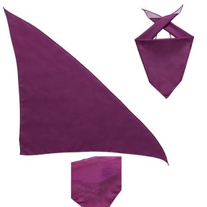 Large Triangle Pet Scarf