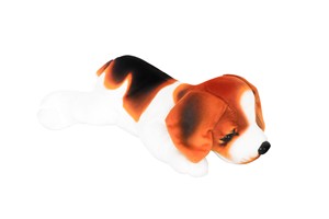 Laying Beagle