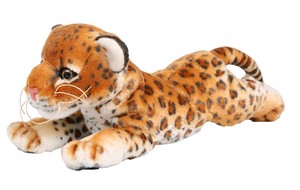 Laying Cheetah