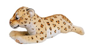 Laying on All Fours Leopard