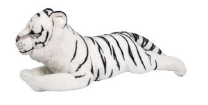 Laying on All Fours White Tiger