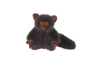 Lemur