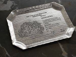 Liberty Large Beveled Tray