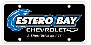 License Plate Insert