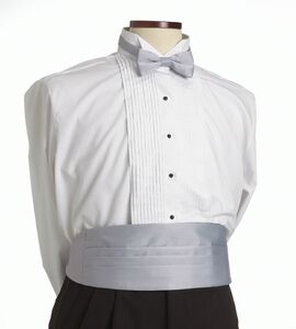Light Gray Cummerbund