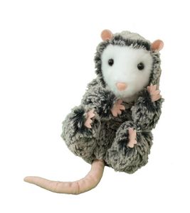 Lil' Baby Possum