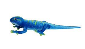 Lizard