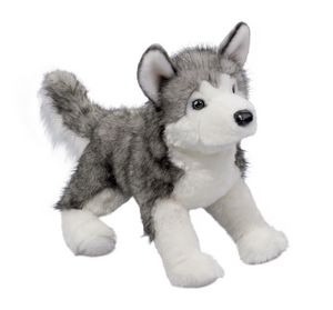 Lobo Husky