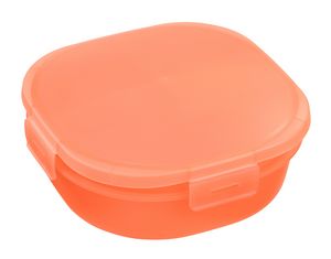 Lunch-Inâ„¢ Container