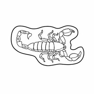 Magnet - Scorpion - Full Color