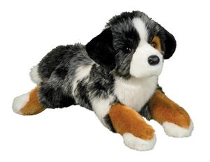 Maizie DLux Australian Shepherd