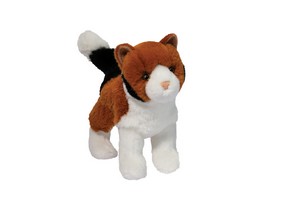 Maps Calico Cat