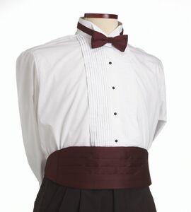 Maroon Cummerbund
