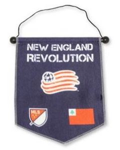 Medium (8 3/8"x10 7/8") Championship Banner