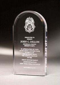 Mini Arcade Award (5"x3/4")