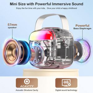 Mini Portable Karaoke Bluetooth Speaker With Microphones