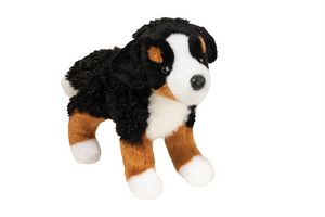 Miranda Bernese Mountain Dog