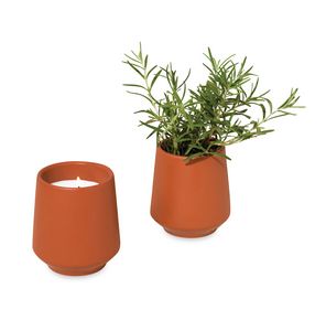 Modern SproutÂ® Rooted Candle - Sienna-Rosemary
