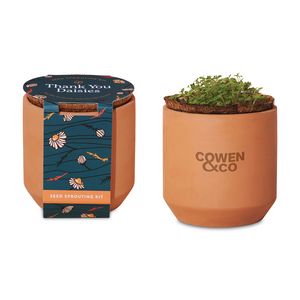 Modern SproutÂ® Tiny Terracotta Grow Kit Thank You Daisies - Terracotta