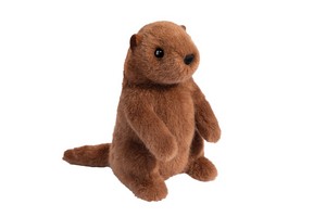 Mr G Groundhog