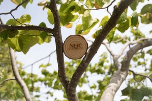 Natural Coaster