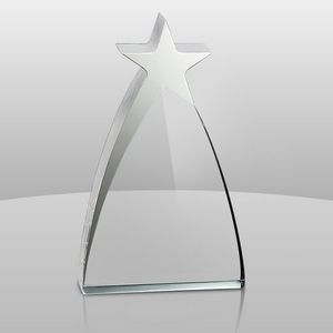 New Star Award (10"x6"x1 1/4")