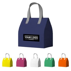 Non-Woven Aluminum Foil Insulation Bag